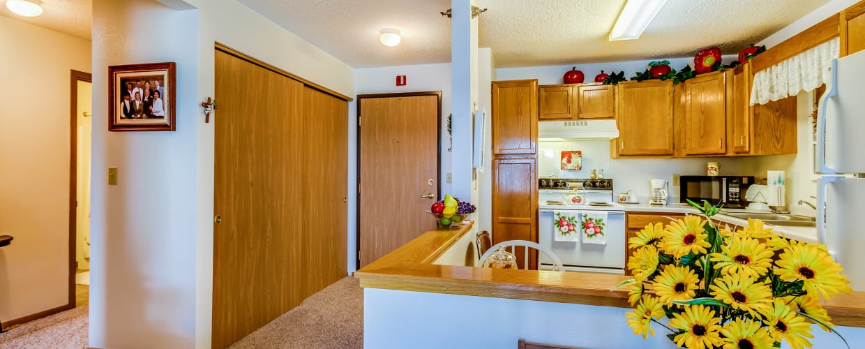 Lake Pepin Plaza I Lake City, MN Southeastern Minnesota Multi